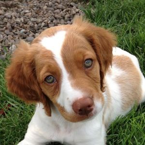 Meet your Posher, Liz